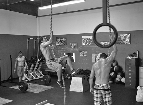Gym Climbing Ropes